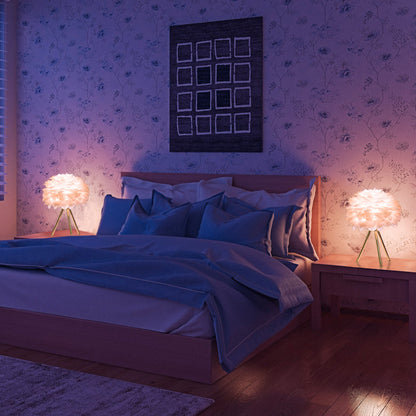 LAMPE NUAGE DE PLUMES & L'ÉLÉGANCE PURE DANS VOTRE INTÉRIEUR